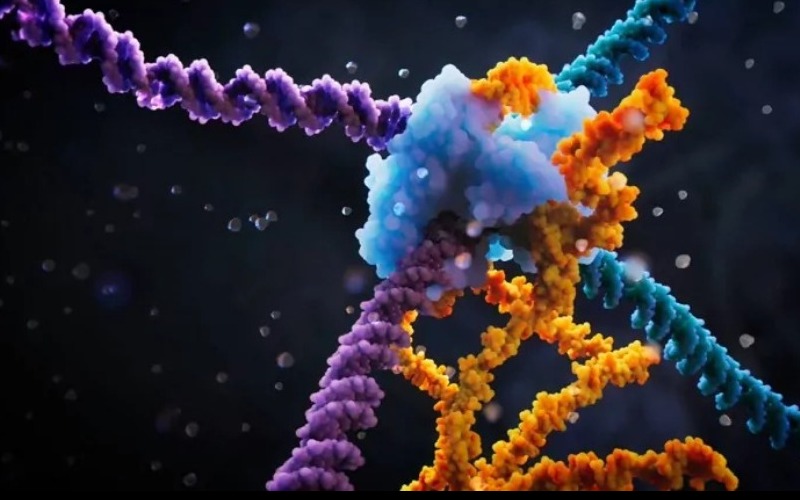 University of Alicante Unveils AlCas12a The CRISPR Enzyme Set to Transform Gene Editing