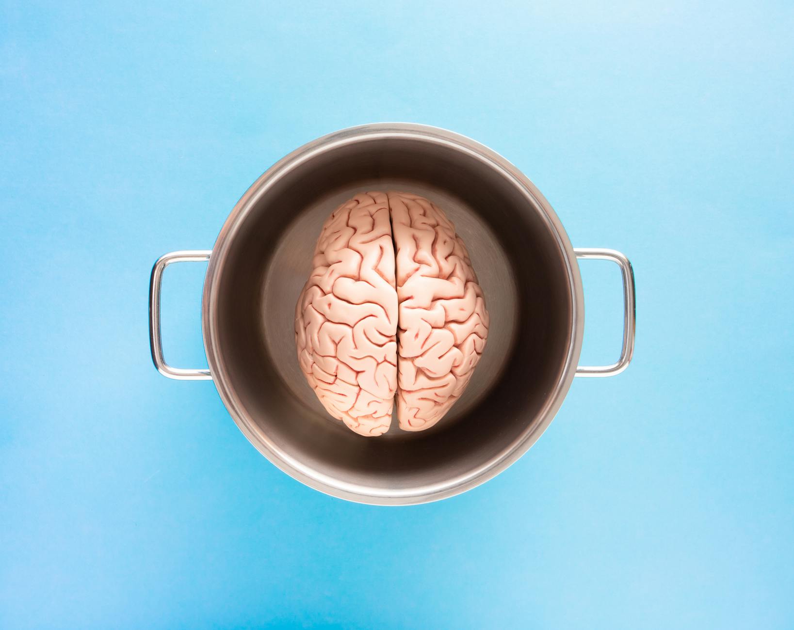 top view of a brain in a cup