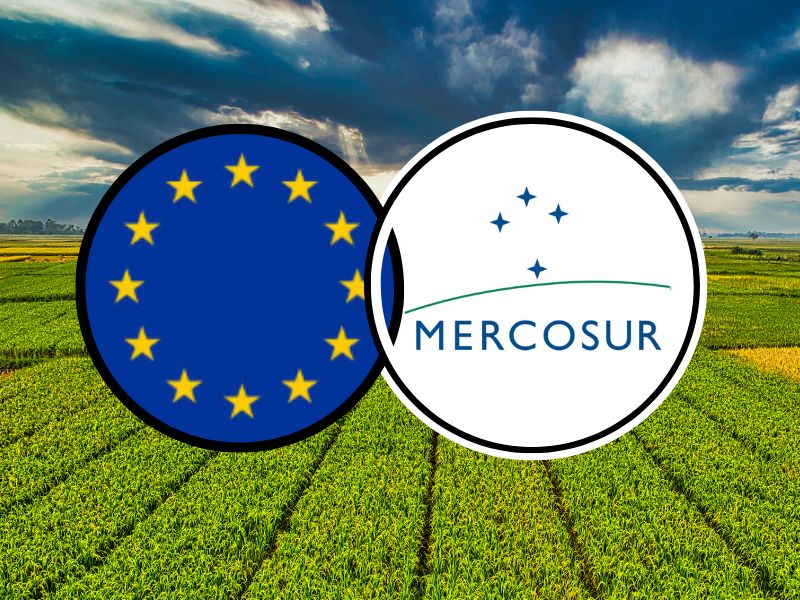 EU–Mercosur Deal: A New Chapter, Many Unfinished Pages